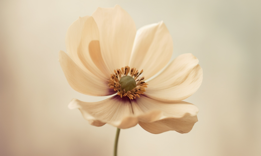 kopie-van-connect-communitybuilding