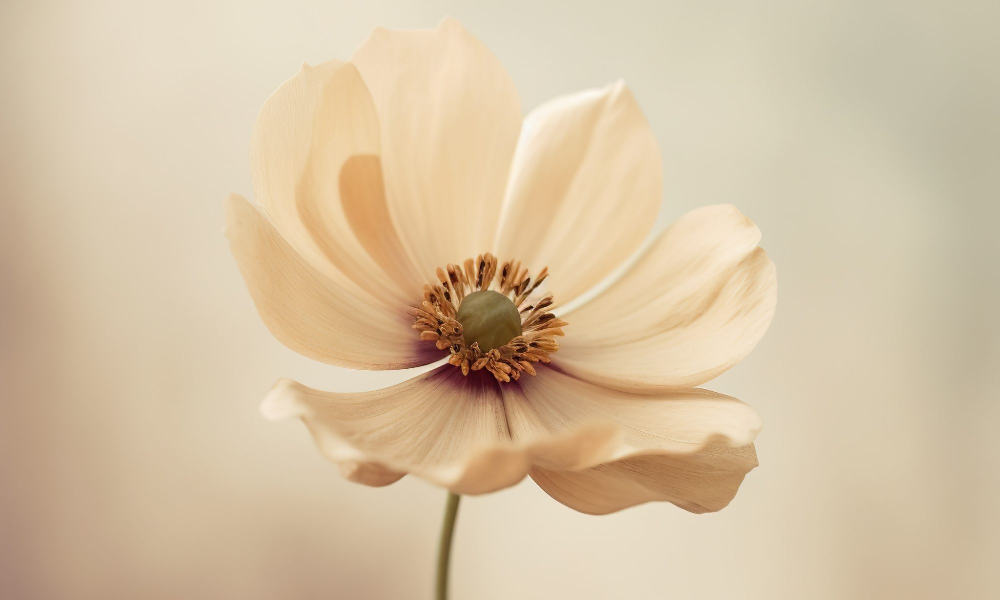 kopie-van-connect-communitybuilding